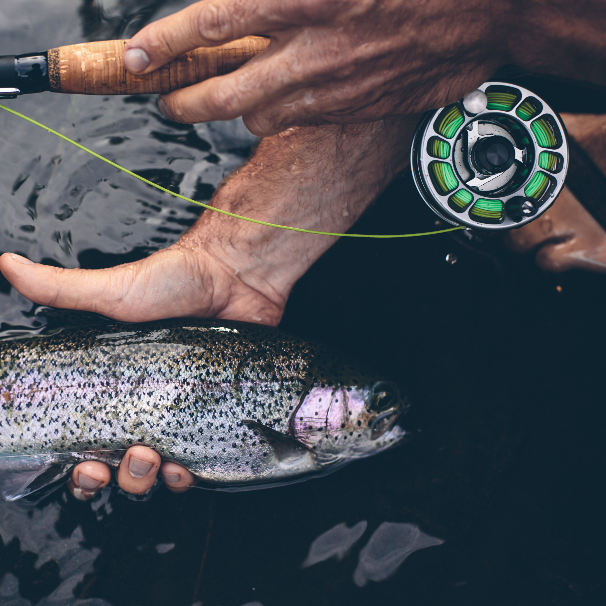 FIRST CAST Pro 6wt / 8.5ft – Travel Fly Rod