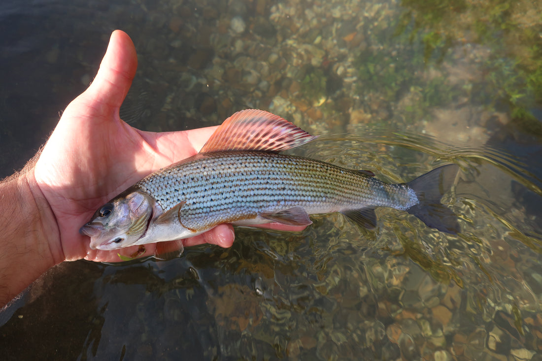Keep  Calm  and  Cast  On -        Fly Fishing in the U.K.