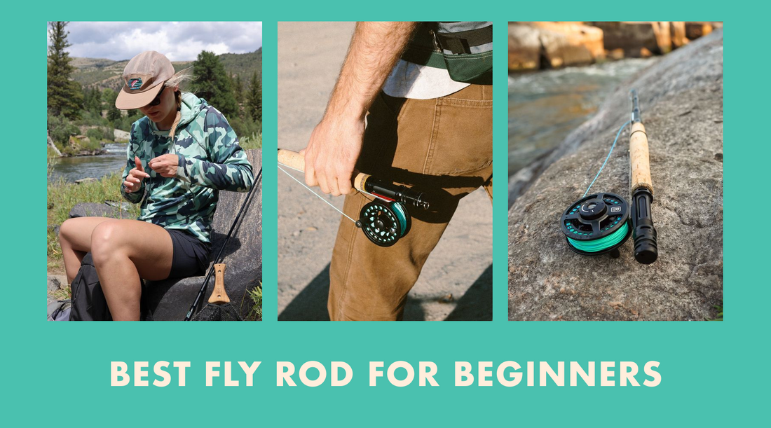 Best Fly Rod for Beginners
