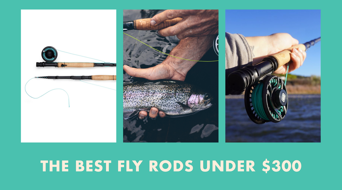 The Best Fly Rods Under $300