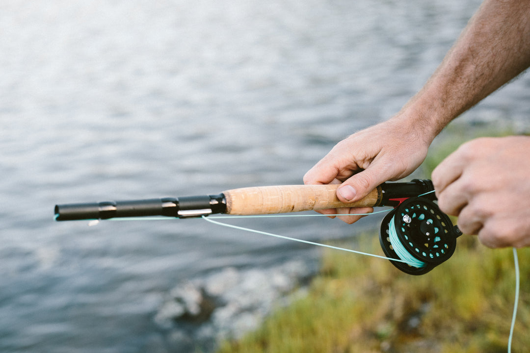 best fishing pole to take hiking Hike N' Hook Trek Poles (Reel Included) Fishing Pole Reyr Fly Rod