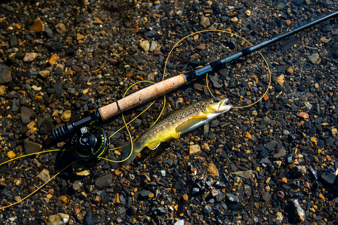 Small Orvis Fishing Reels Fishing Combos Best Fly Reel Under $200